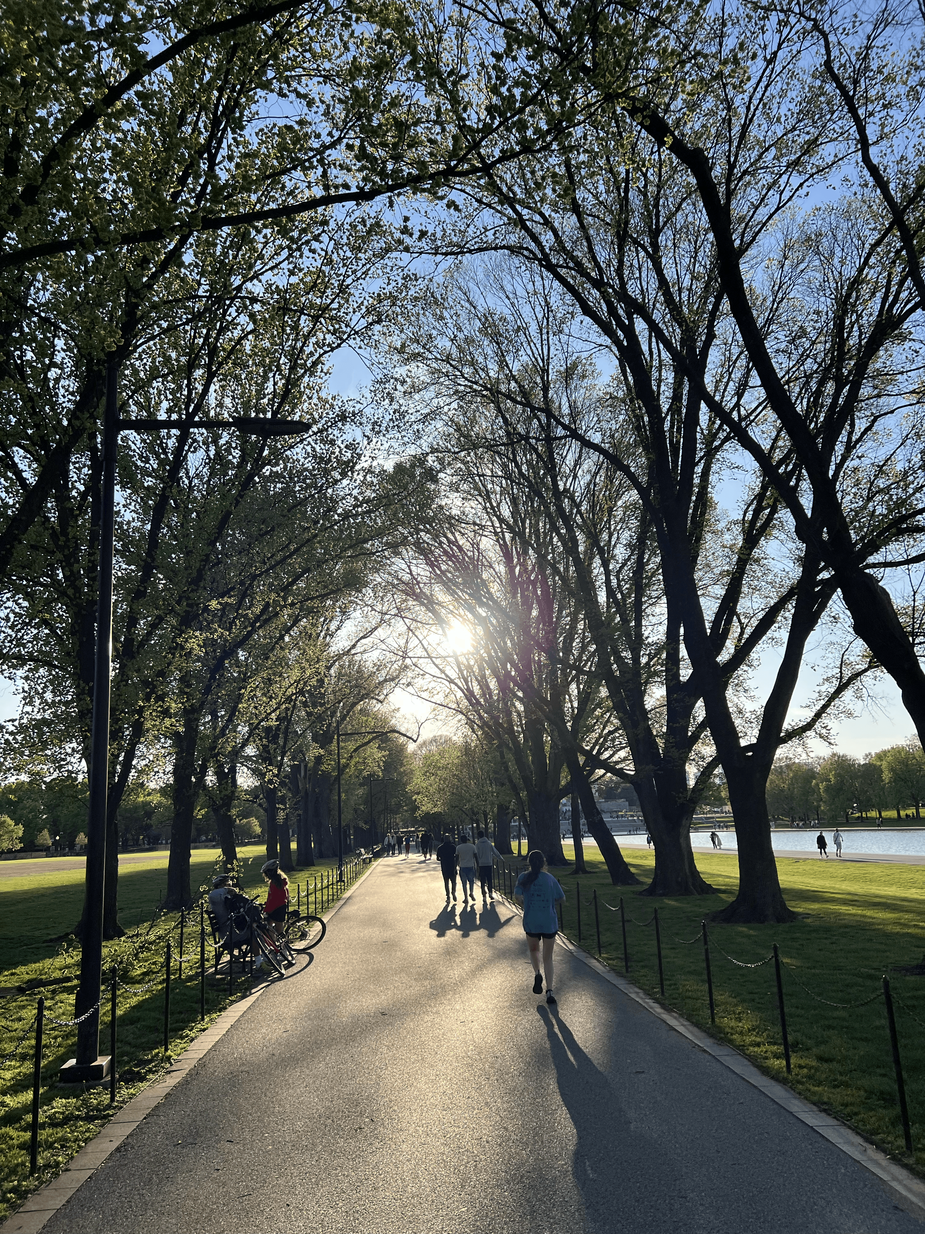 D.C.