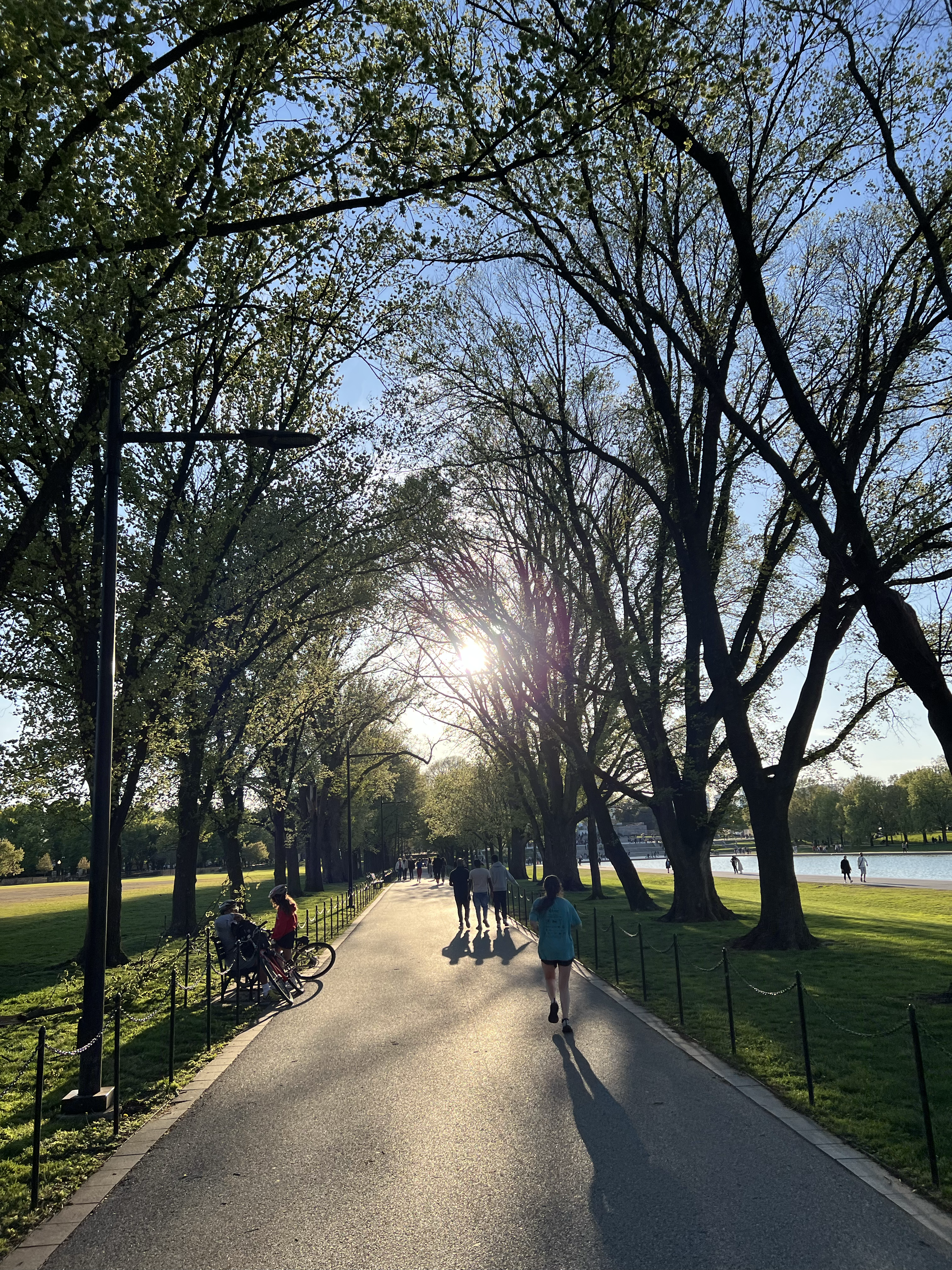 D.C.